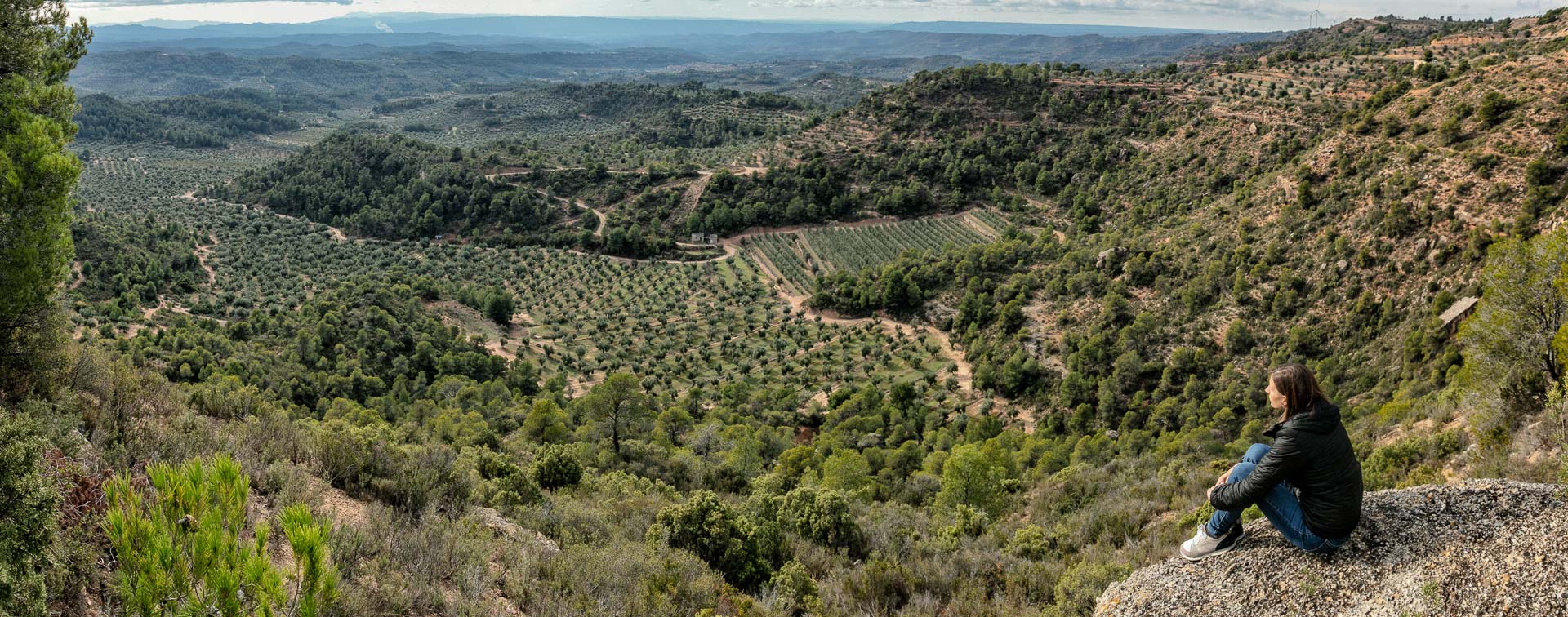 Garrigues