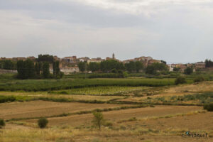 Rutes de la Marxa de Tardor del Baix Set