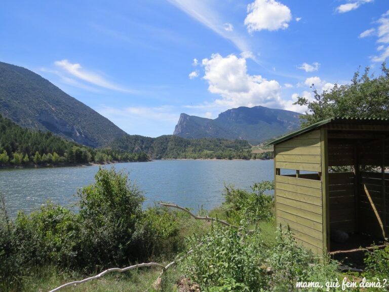 Pantà d'Oliana, Coll de Nargó