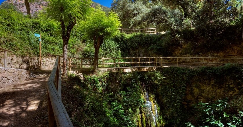 Camí de les Fonts de Peramola