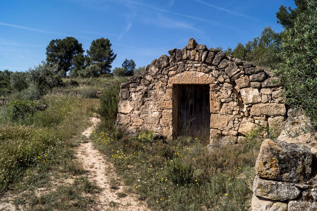 Ruta de la pedra seca i tast d'oli, experiència oleoturística