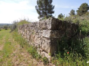 Ruta de la pedra seca i tast d'oli, experiència oleoturística