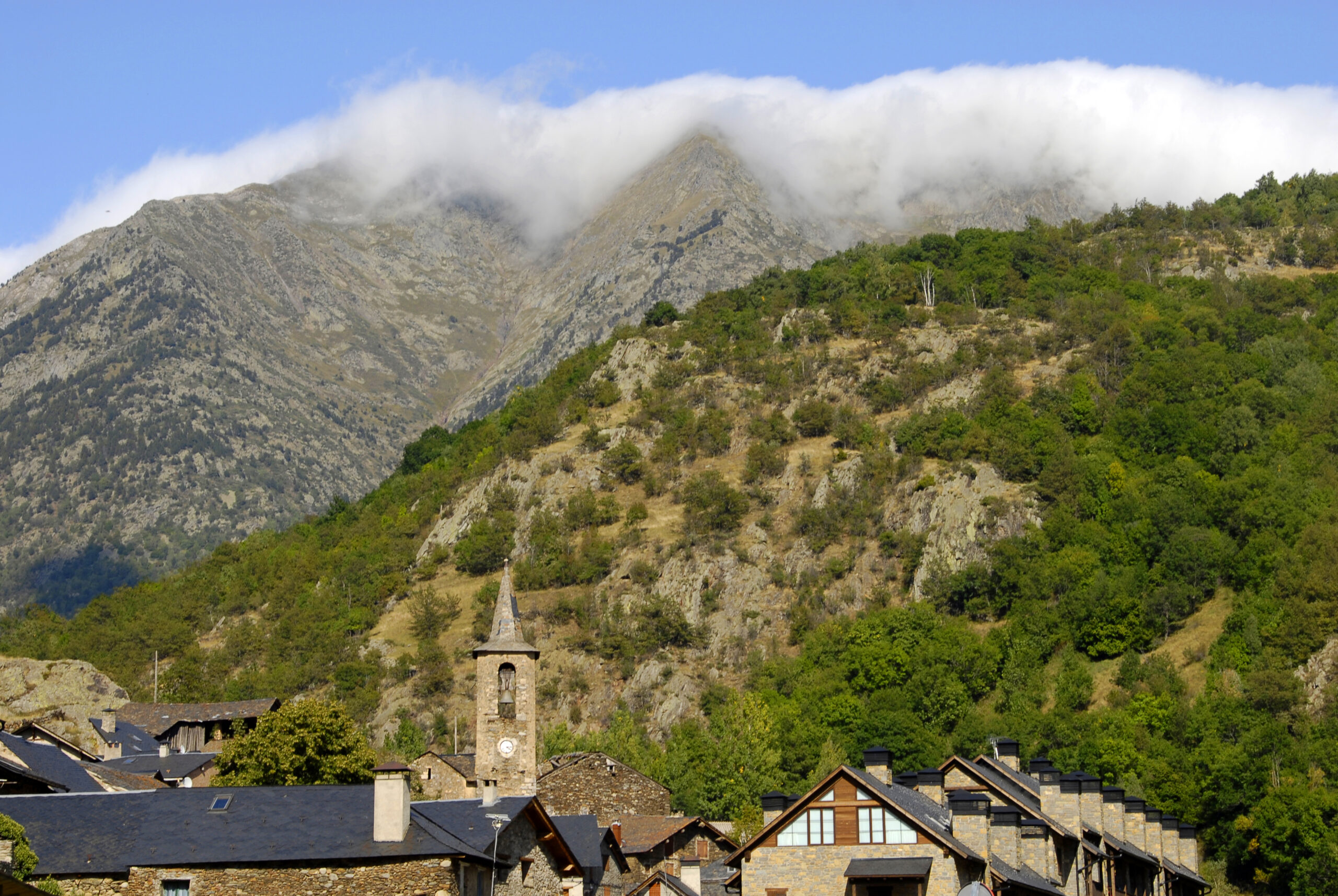 pallars