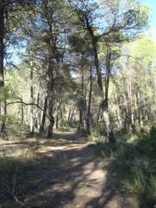 Ruta de la calç de Tarrés