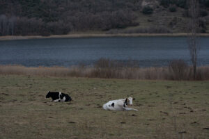 Volta a l’estany de Montcortés