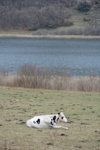 Volta a l’estany de Montcortés