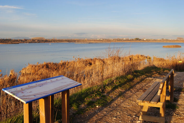 Ruta ornitològica per l’Estany d’Ivars i Vila-sana