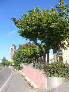 Ruta del camí de Sant Jaume