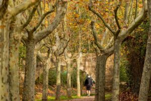 Mare de la font - Castellvell