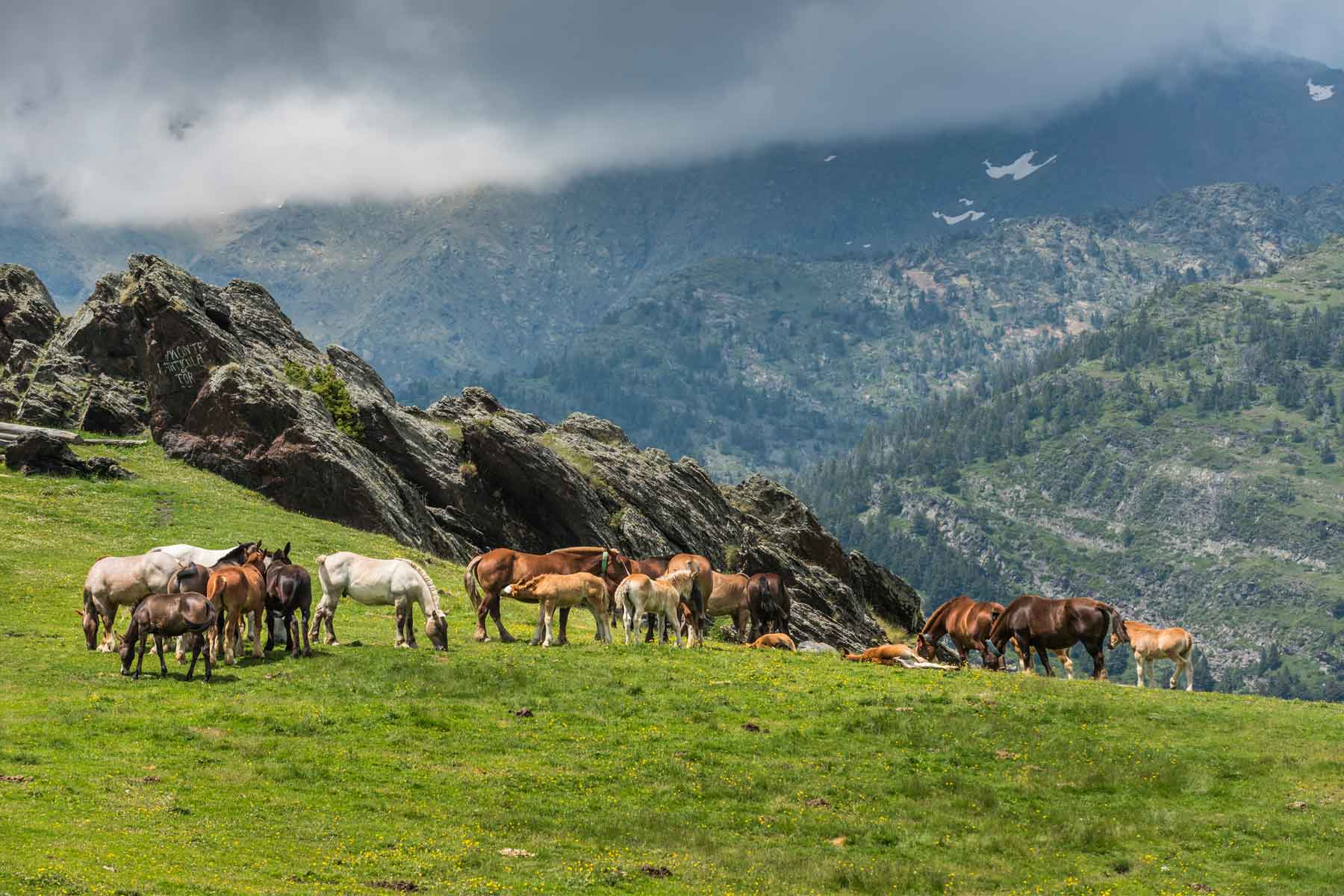 PARC-ALT-PIRINEU