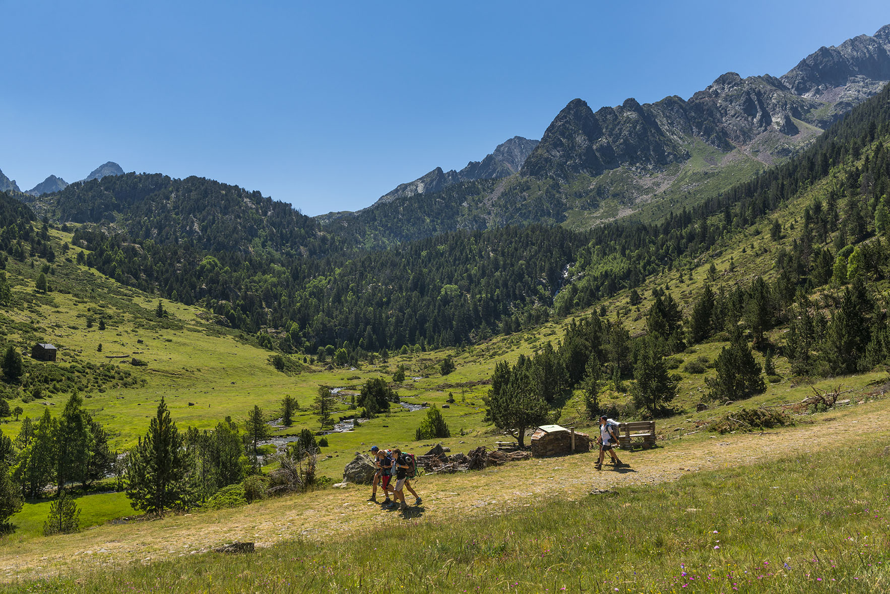 Alt Pirineu