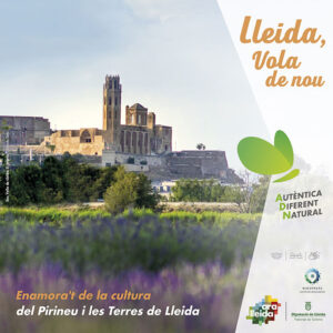 Mòdul publicitat campanya cultural estiu Ara Lleida 2021