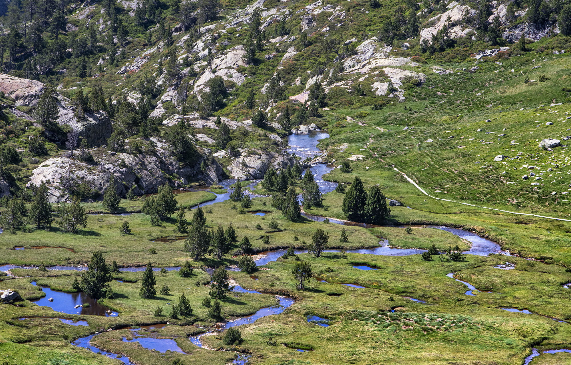 parc-natural-alt-pirineu_0006_251122