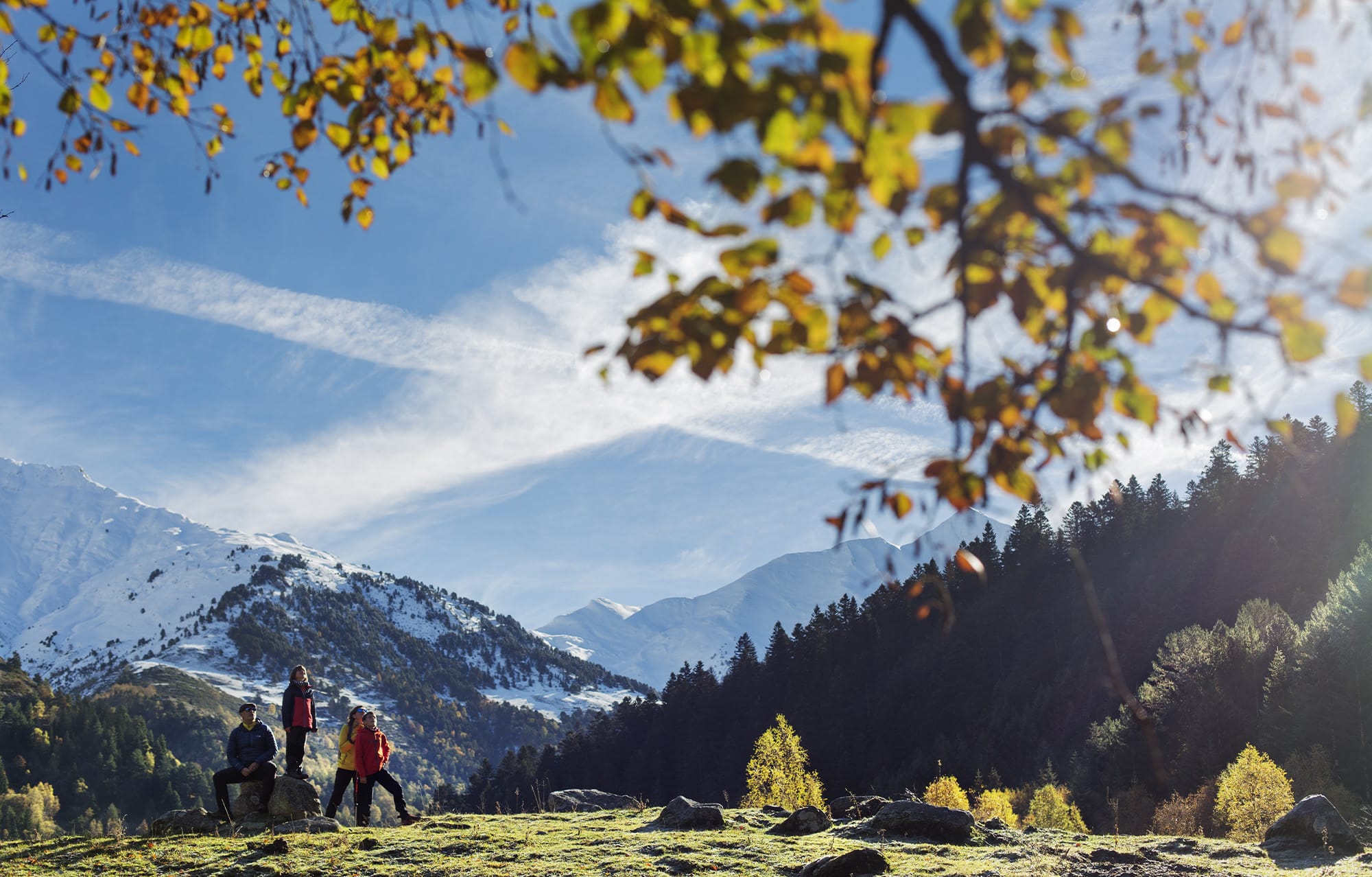 parc-natural-alt-pirineu_0008_214821