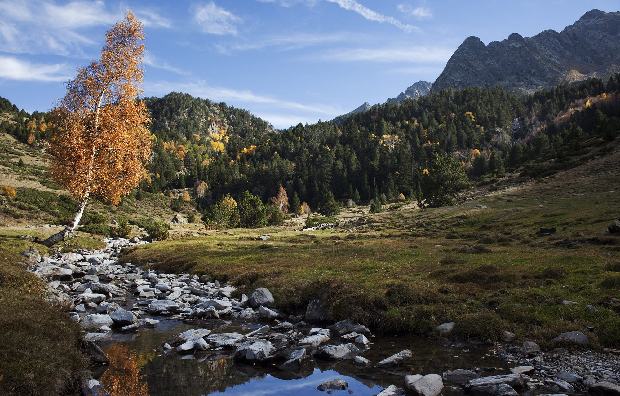 parc-natural-alt-pirineu_0009_214773