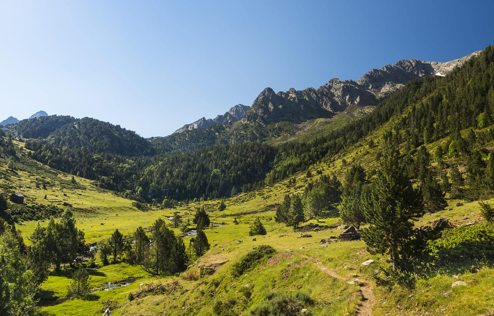 parc-natural-alt-pirineu_0011__ORP8139