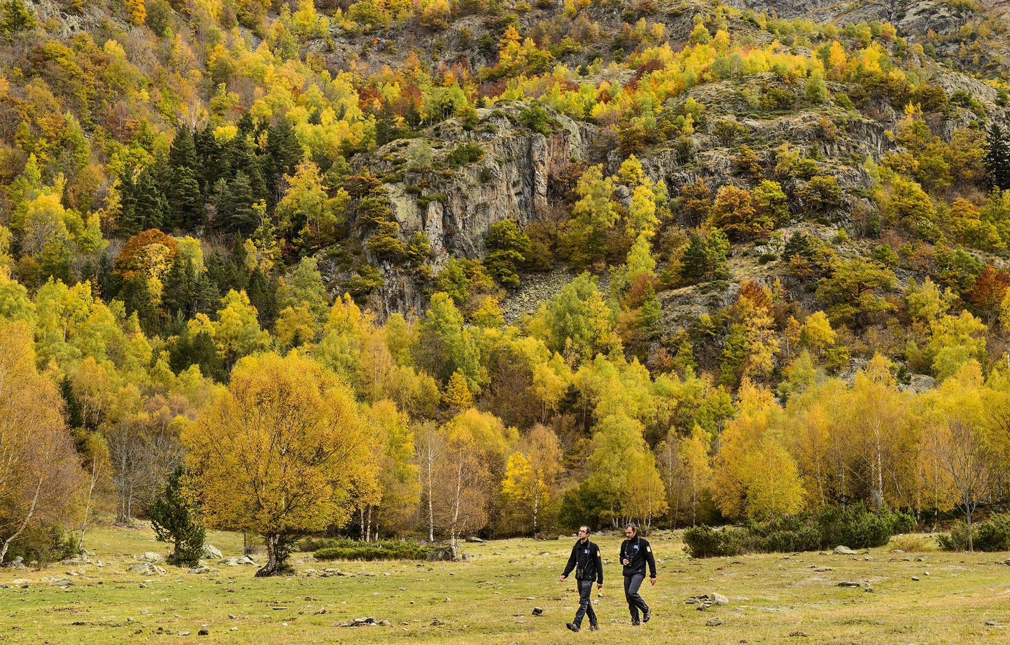 parc-natural-alt-pirineu_0015__ORP4378 copia