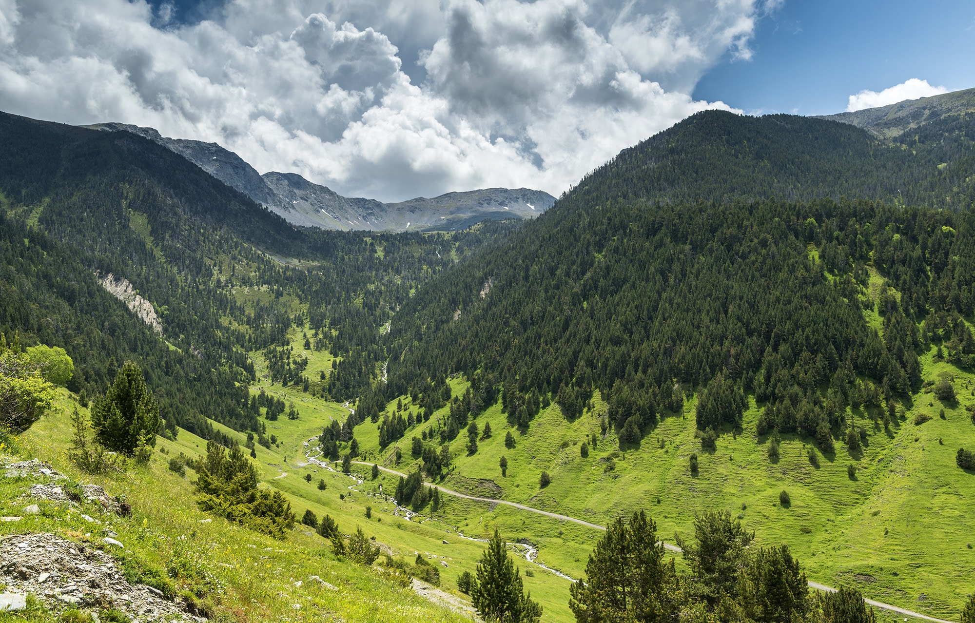 parc-natural-alt-pirineu_0016__ORP4089