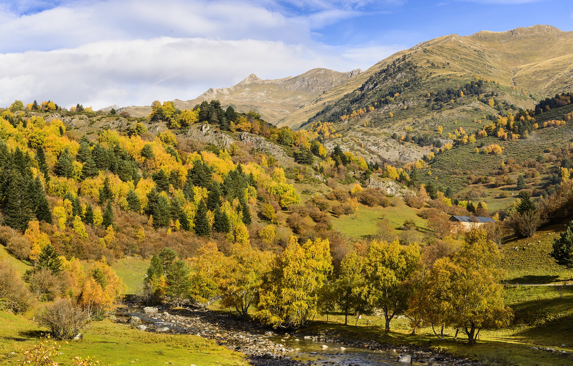 parc-natural-alt-pirineu_0017__ORP3484 copia