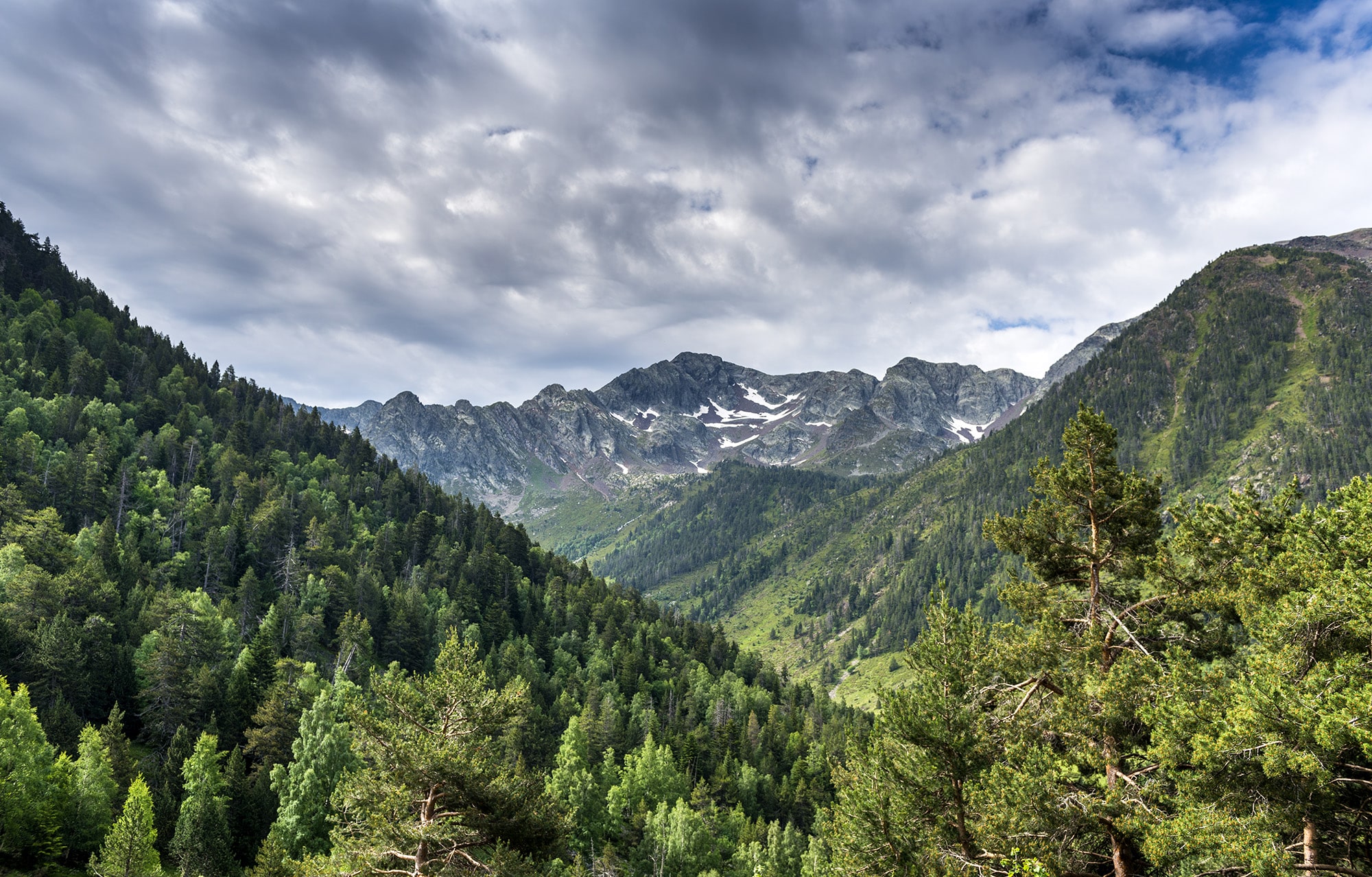 parc-natural-alt-pirineu_0018__ORP3481