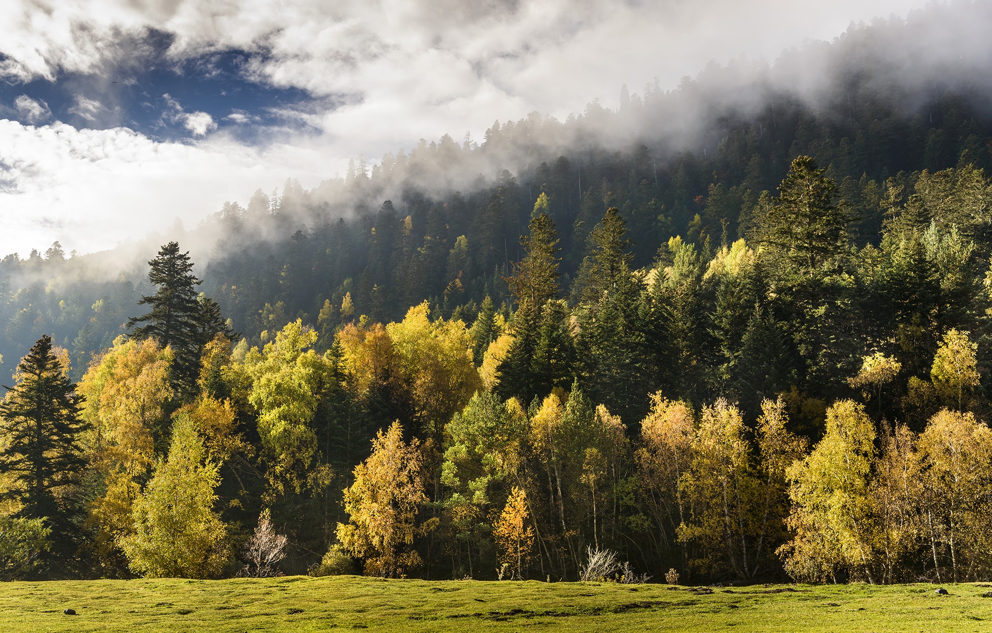 parc-natural-alt-pirineu_0019__ORP3461 copia