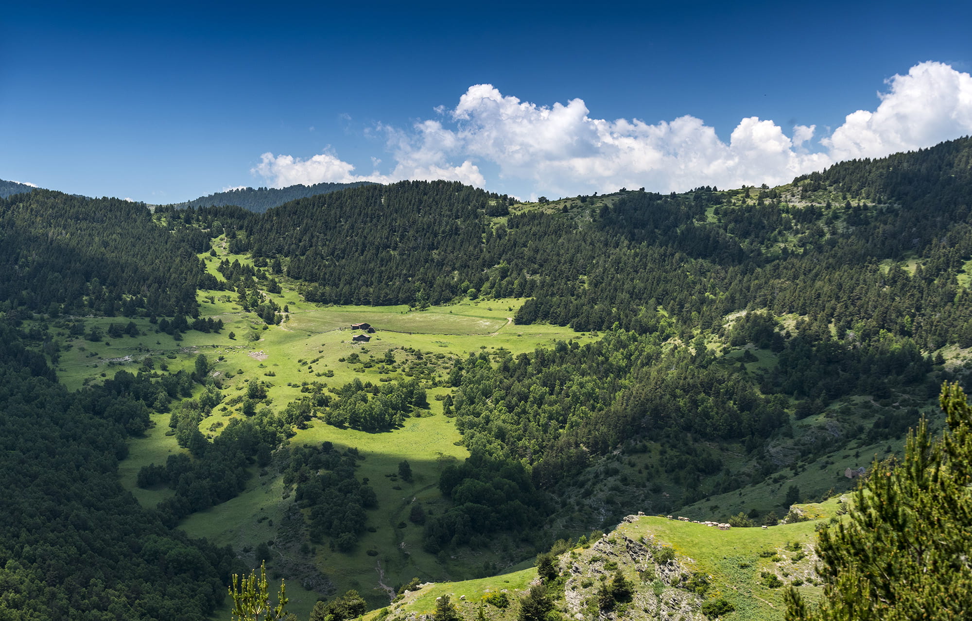 parc-natural-alt-pirineu_0022__DSC3651