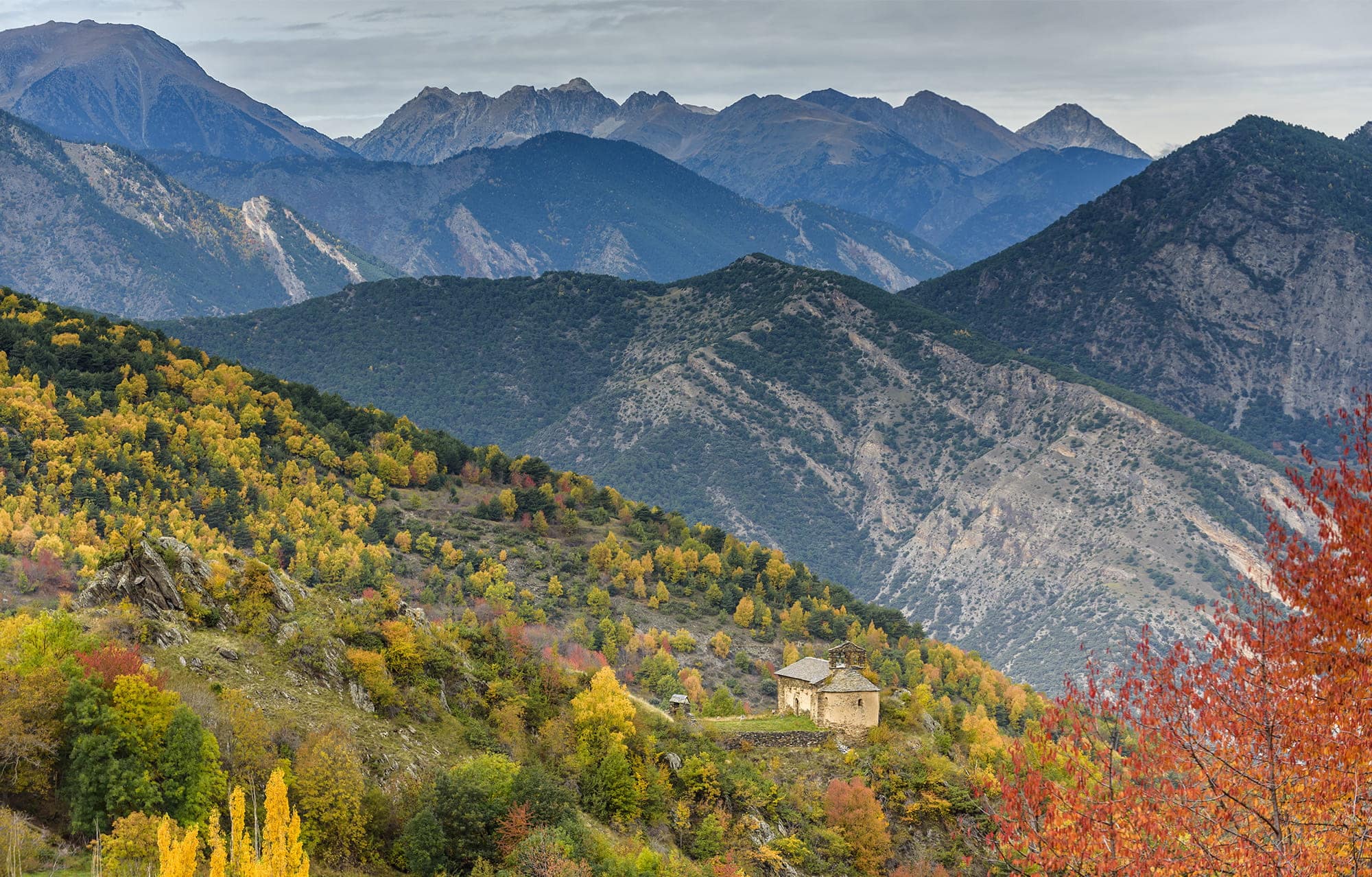 parc-natural-alt-pirineu_0023__DSC2797 copia