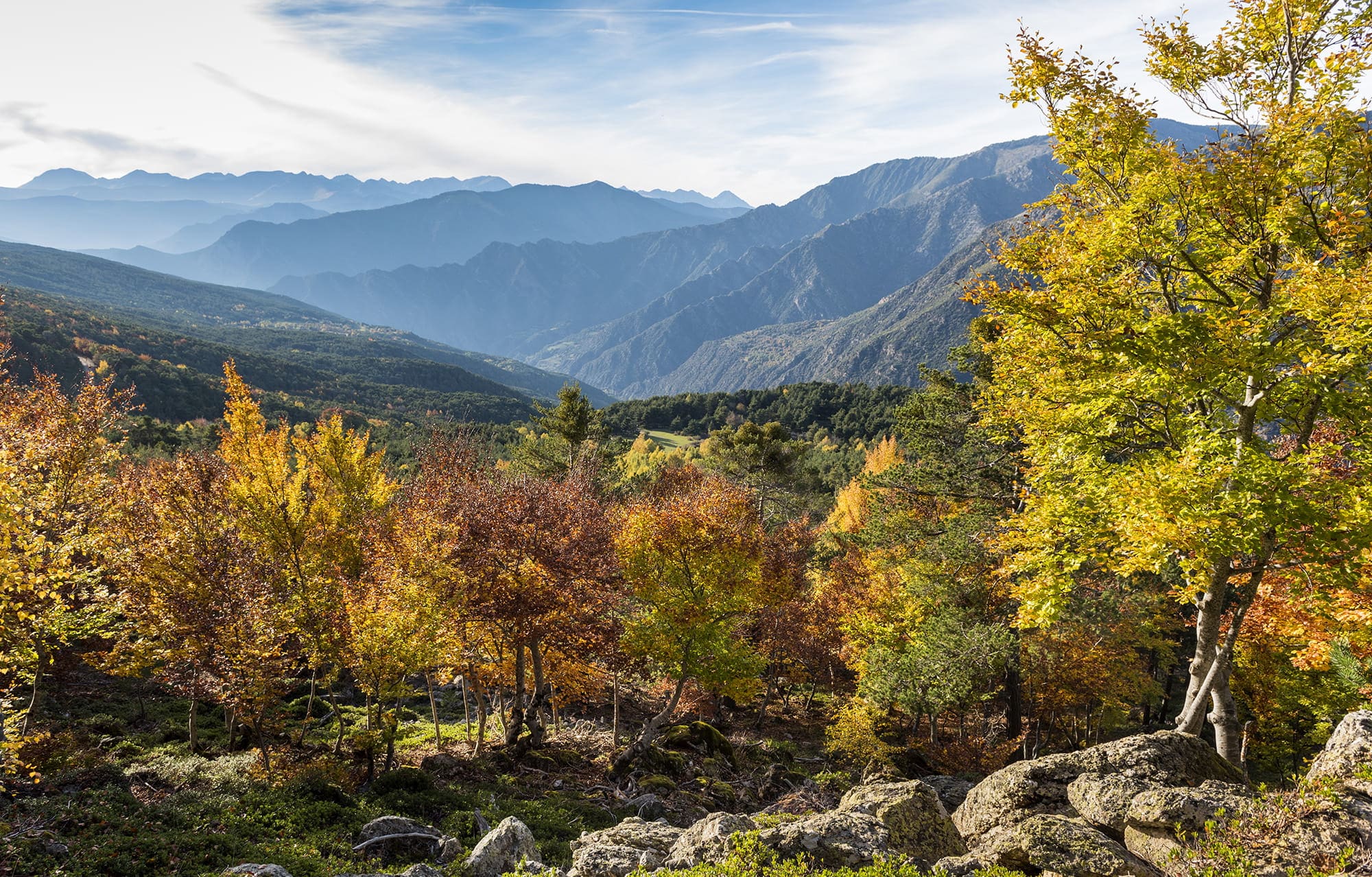 parc-natural-alt-pirineu_0025__DSC0319 copia