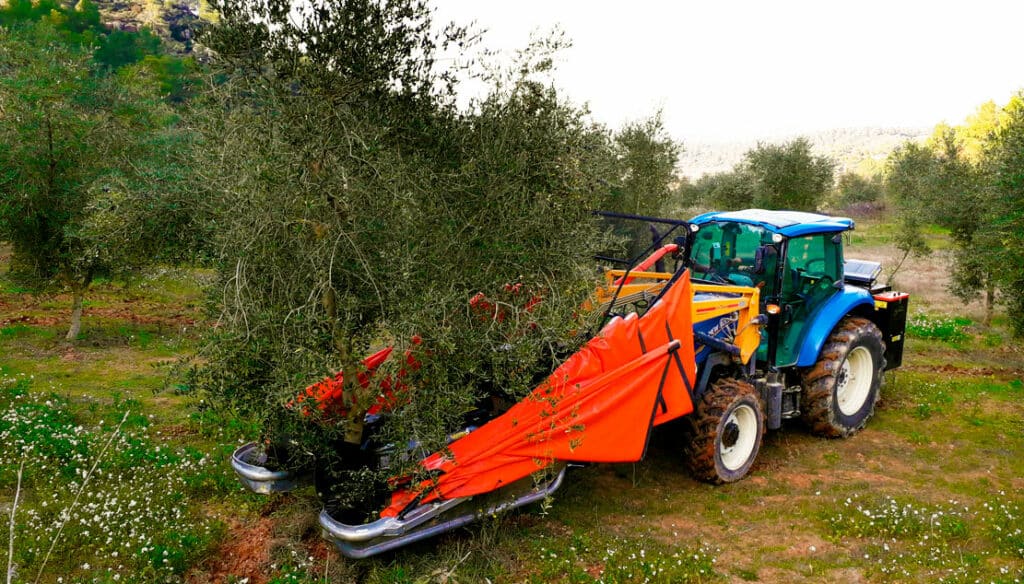 Màquina recolectant les olives